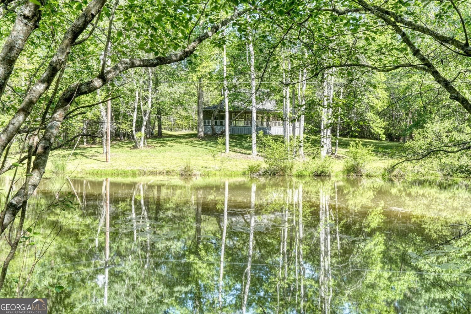 1493 Greasy Creek Road, Brasstown, NC, 28902