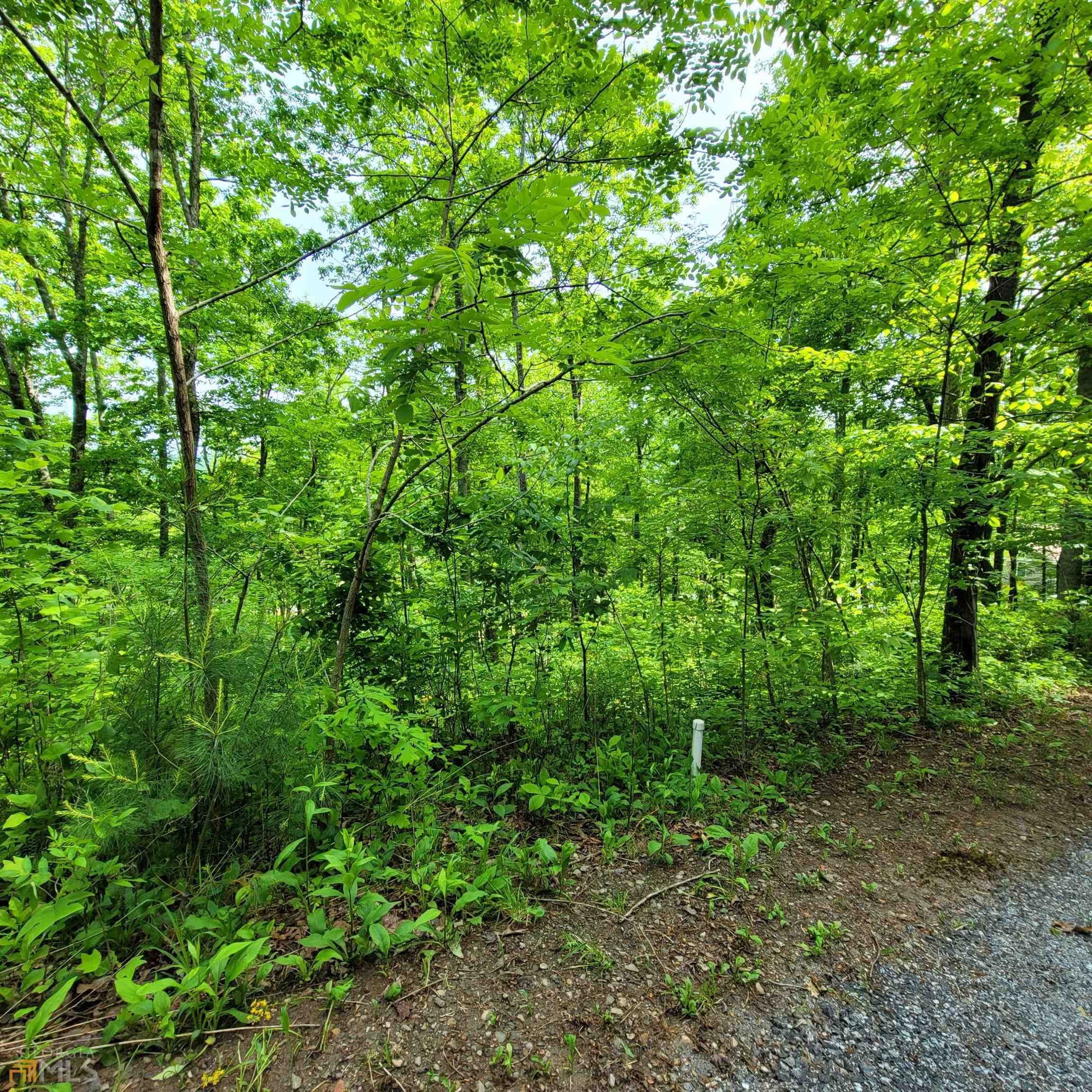 4 Oak Forest Circle, Hayesville, NC, 28904