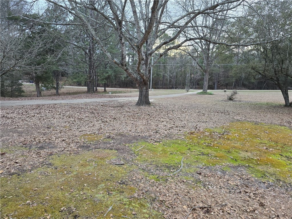 797 BLACKJACK, Tallassee, AL, 36078, Front road view