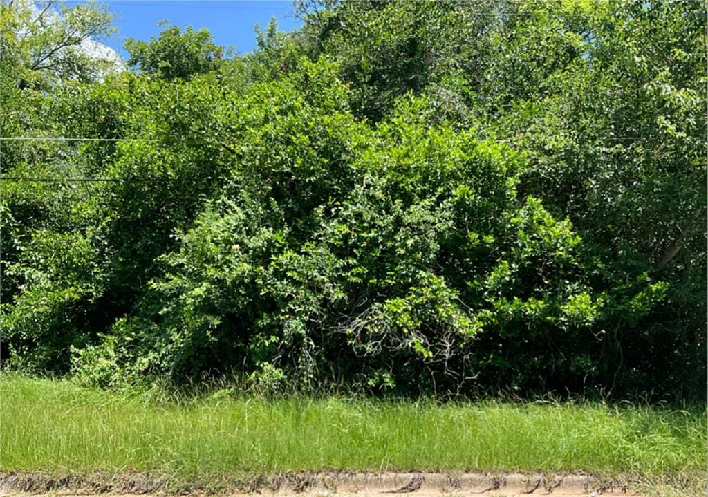 1213 East Roosevelt Avenue, Albany, GA, 31705