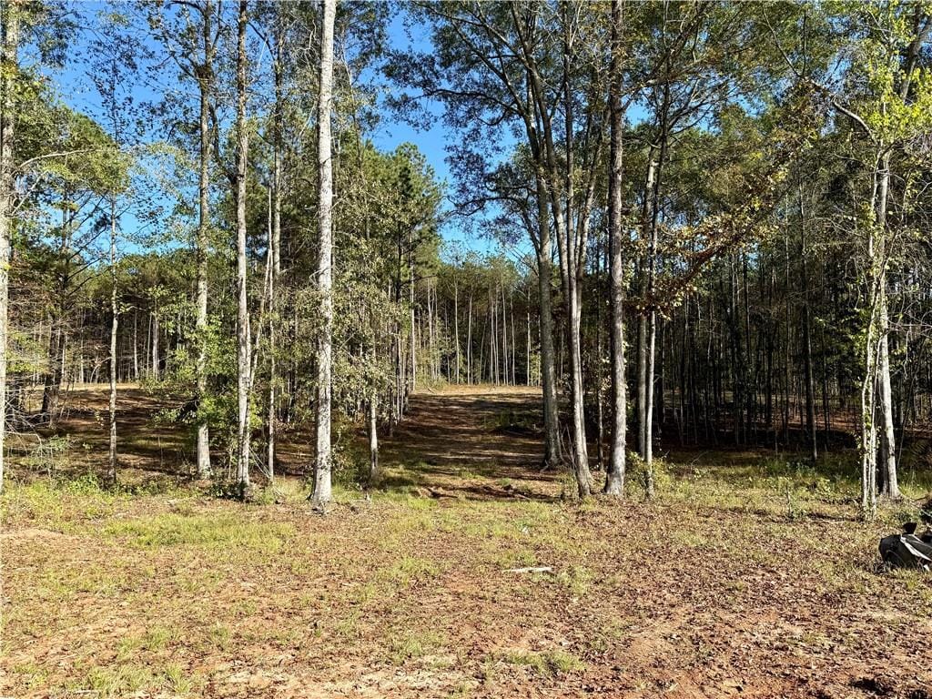 367 US HWY 169 South, Seale, AL, 36875 — Photo 2