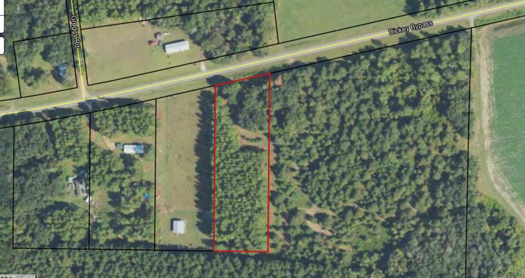 2160 Dickey Bypass Road, Morgan, GA, 39866