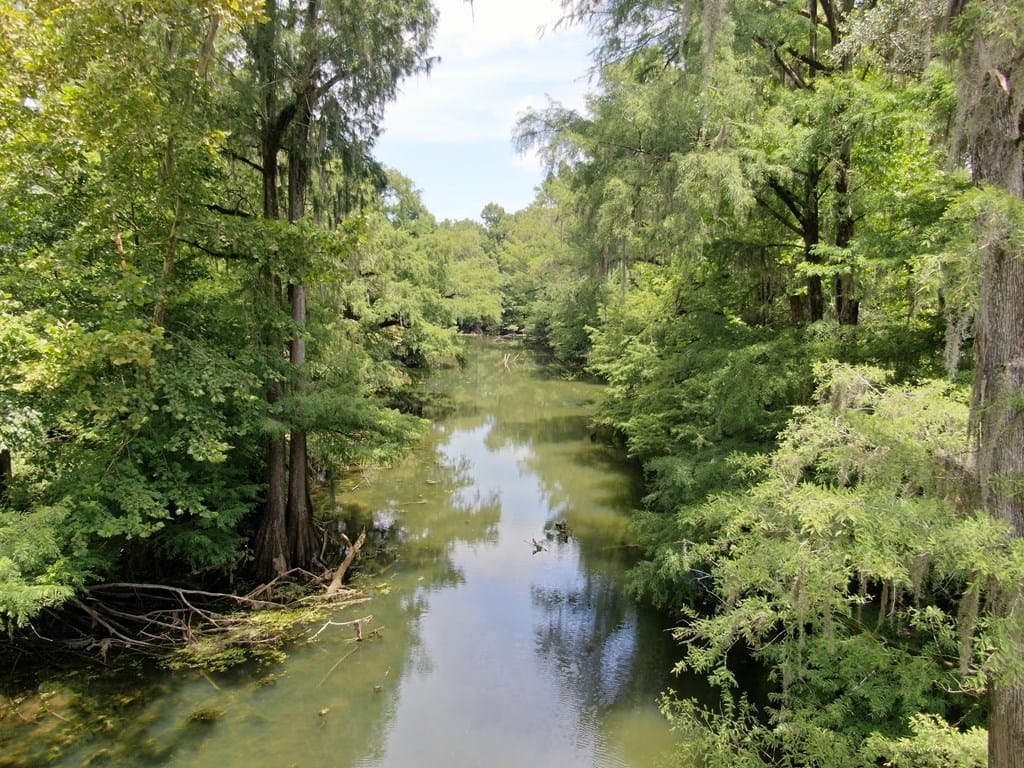 219 Skywater Blvd, Albany, GA 31705