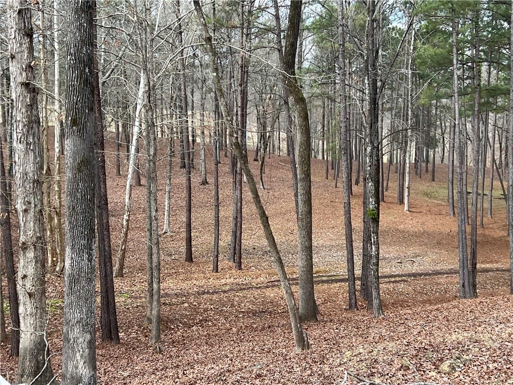 0 PRESTWICK, Phenix City, AL, 36867 — Photo 3