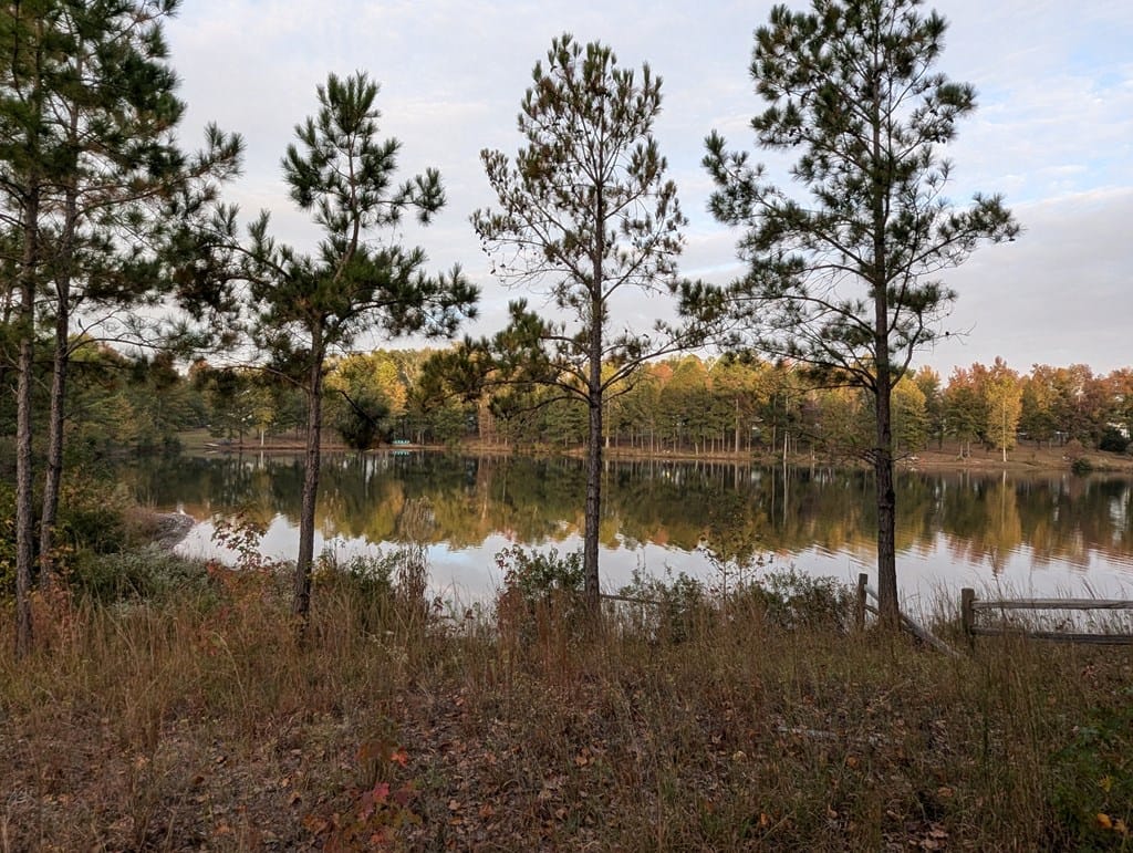 50 Dunley Court, Ellerslie, GA, 31807 — Photo 3