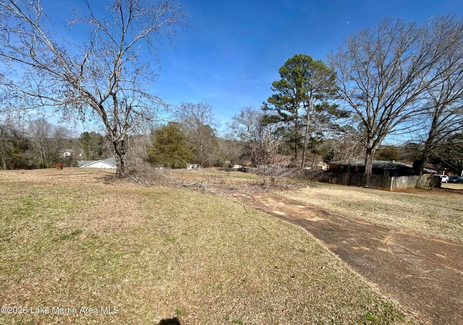 198 McKelvey Street, Dadeville, AL, 36853 — Photo 3