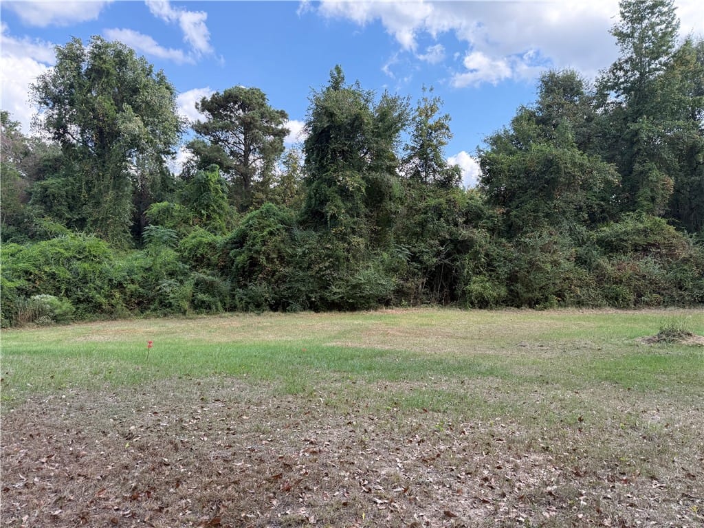 0 AL HIGHWAY 51, Beauregard, AL, 36804