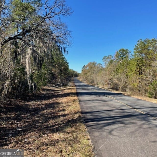 LOT A Pineville Road #100+/- acres, Buena Vista, GA, 31803