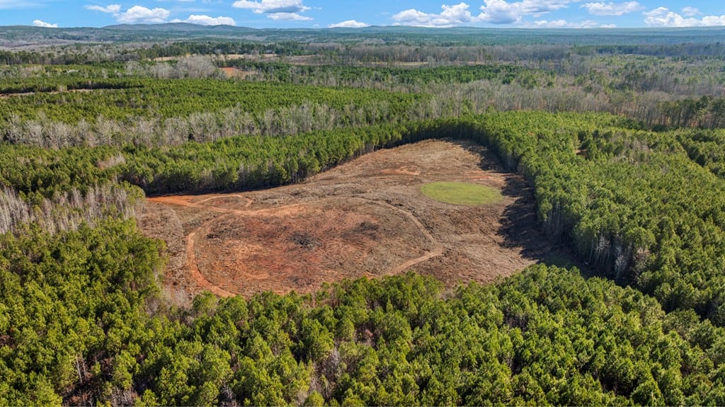 200 Fortune Hole Road East, Hamilton, GA, 31811 — Photo 3