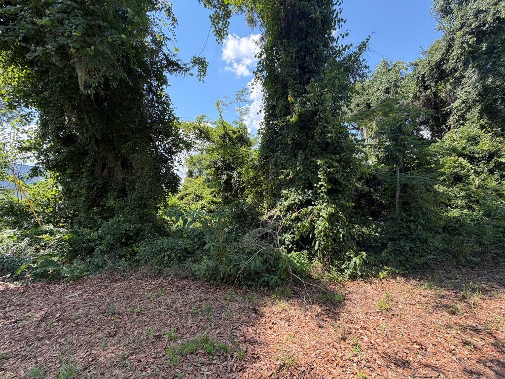 5003 Oak Hill Drive, Lake Park, GA, 31636