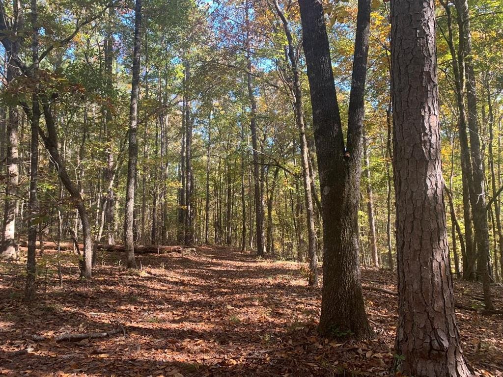 Lot 9 Tiger Way, Fortson, GA, 31808