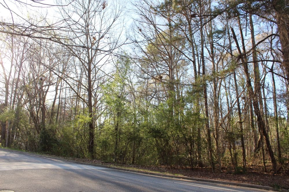 0 SUMMERTREES, Auburn, AL, 36832
