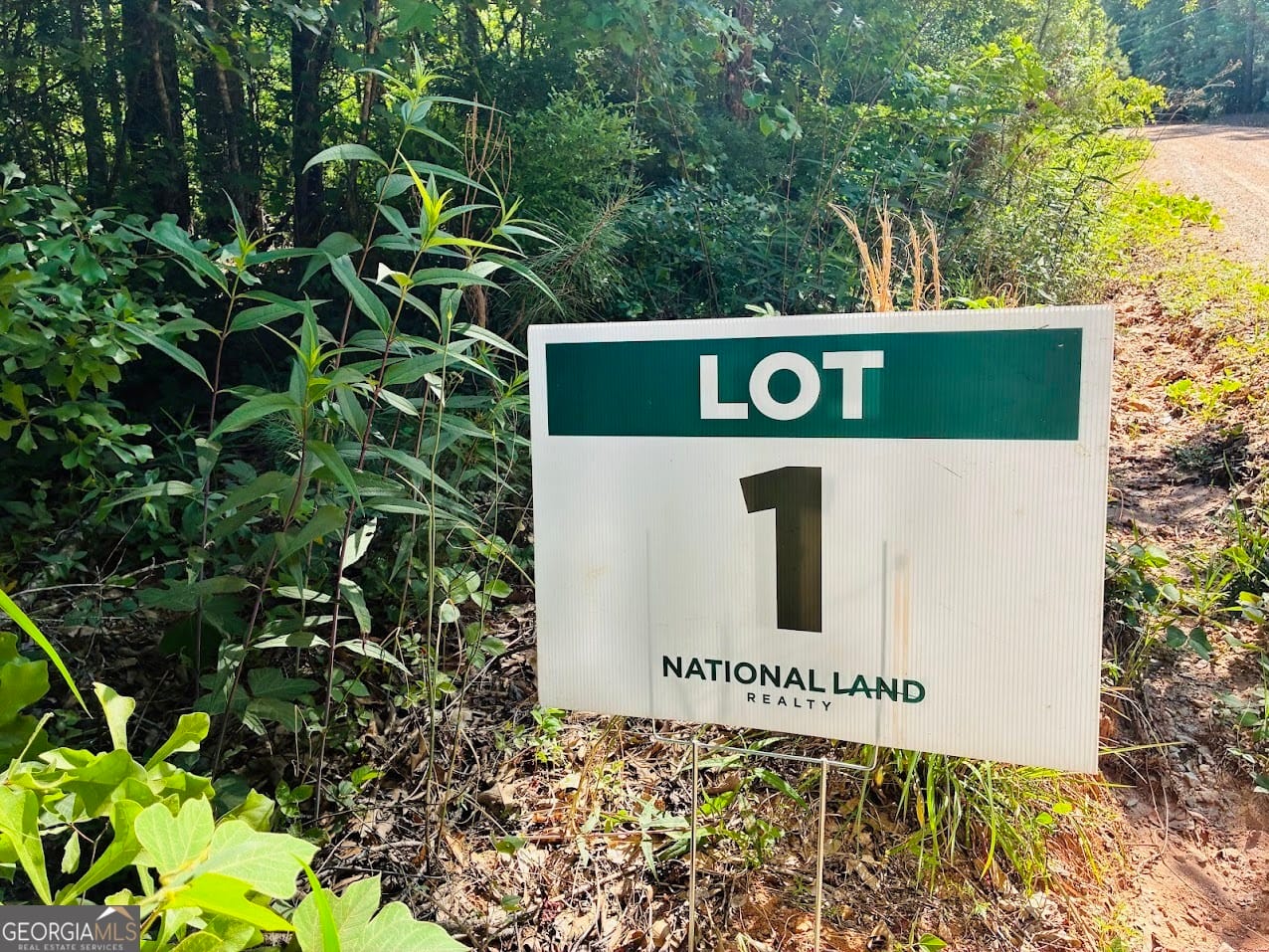 1 Ashland Gardens Road #lot 1, Ashland, AL, 36251