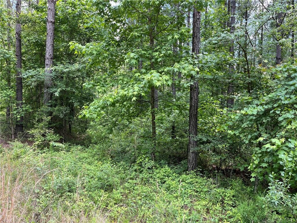 00 Lee Road 333, Salem, AL, 36874