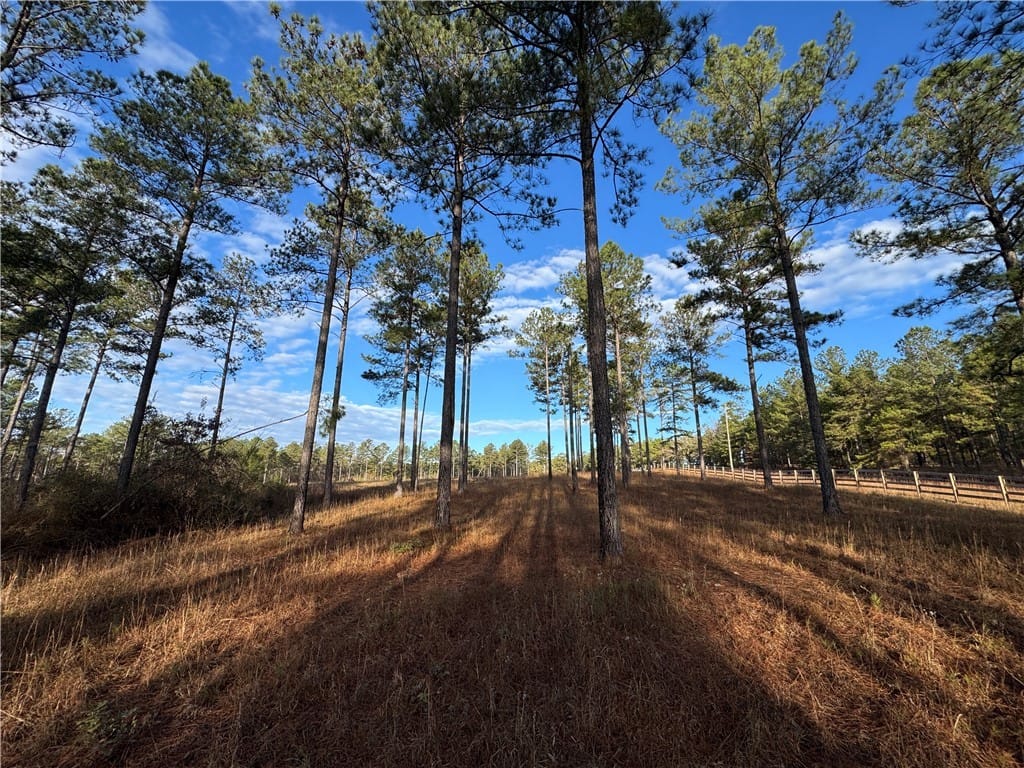 0 Farmville, Camp Hill, AL, 36850