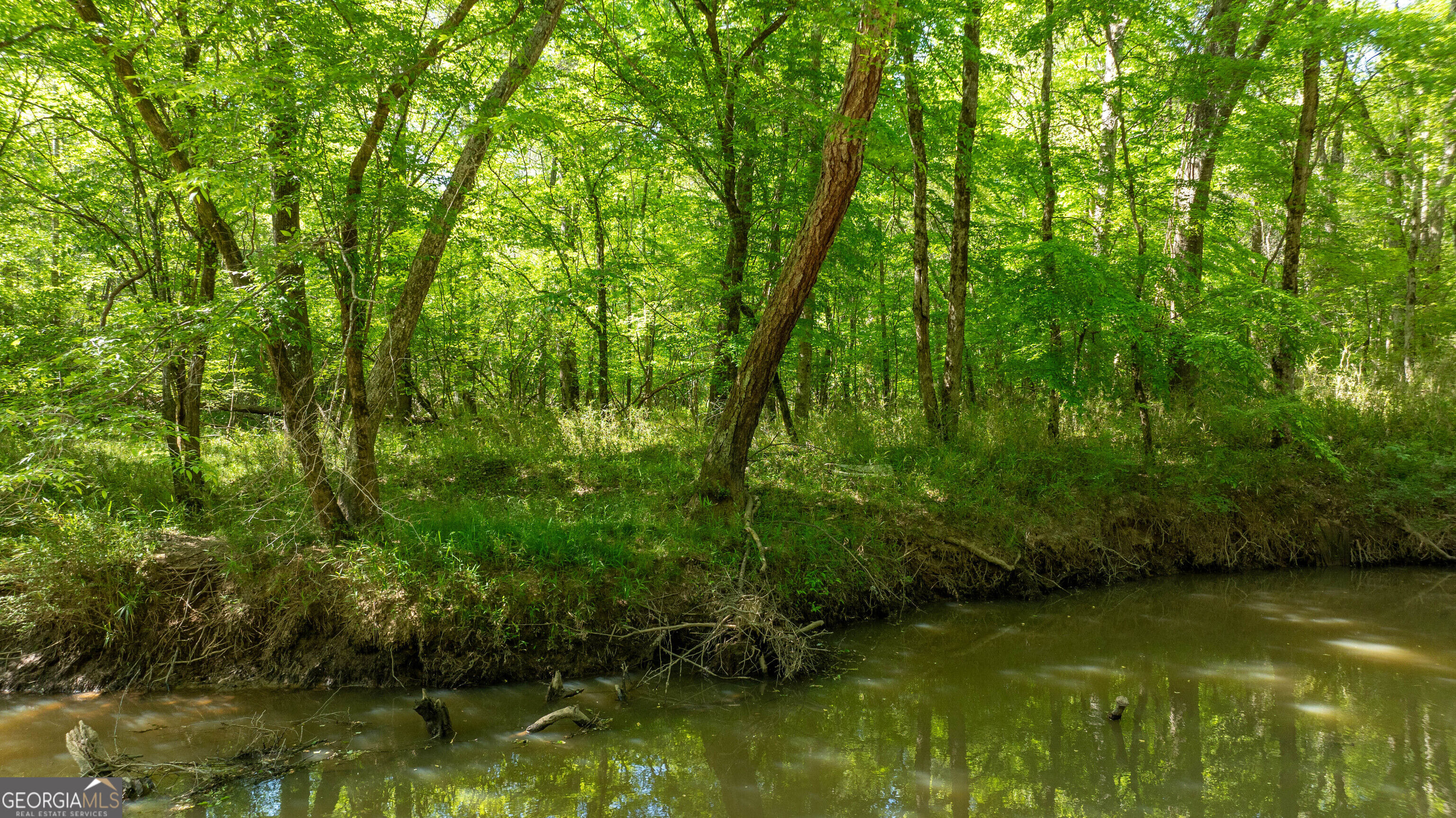 GA-54 & Bear Creek Rd, Georgia 30259